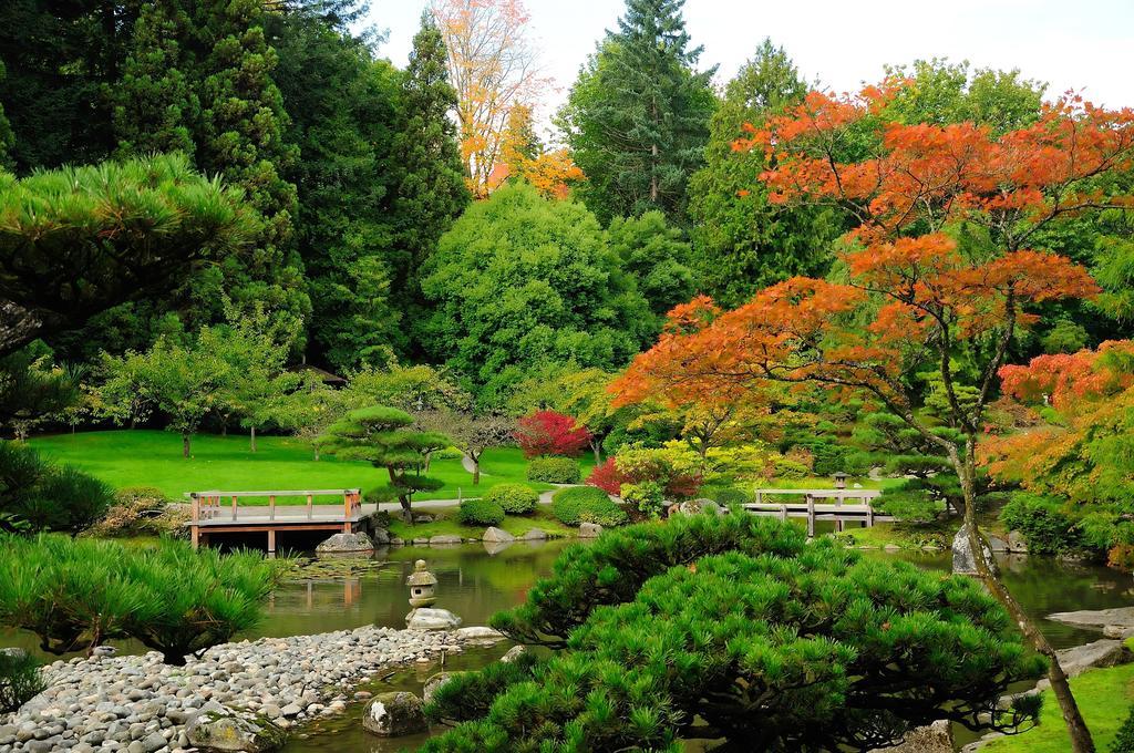 Silver Cloud - University Of Washington District 3*